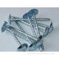 Umbrella Nail Wire Galvanized roofing nails with umbrellar head Manufactory